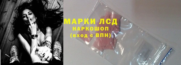 гидра Корсаков